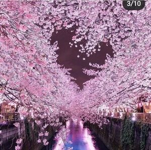 Meet your Posher, Brielle